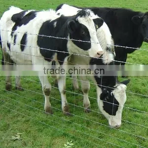 Own Factory Supply Security Farm & Field Fence thumbnail-1