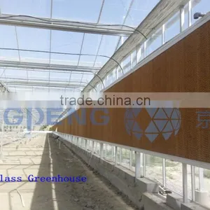 Greenhouse Cooling System thumbnail-1
