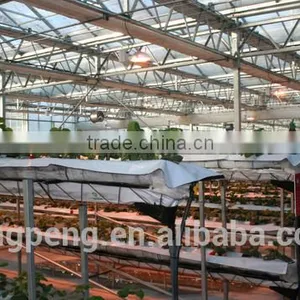 Tomato Hydroponic Float Glass Agriculture Greenhouse thumbnail-2