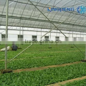 Agricultural Plastic Film Greenhouse With Arch Roof thumbnail-3