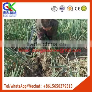 Diesel 2 Row Welsh Onion Harvester Apply for Flat Area thumbnail-1
