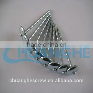 Umbrella Head Roofing Nails Factory Super Price thumbnail-4