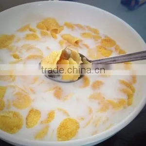 Corn Flakes Production Line thumbnail-5