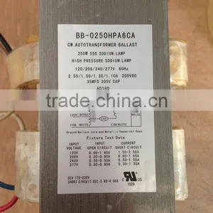 US Standard 120/208/240/277V 60hz 4 Tap / Four Input Voltage 100W 150W 200W 250W 400W 600W 1000W CWA HPS Lamp Ballast Kit thumbnail-2