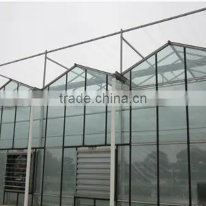 Orchid Greenhouse/glass Greenhouse for Sale/greenhouse Agriculture thumbnail-1