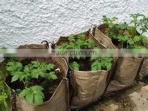 Non Woven Fabric Plant Pots Garden Grow Bags About Tomatoes thumbnail-2