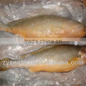 1000+ Frozen Fish Frozen Yellow Croaker thumbnail-1