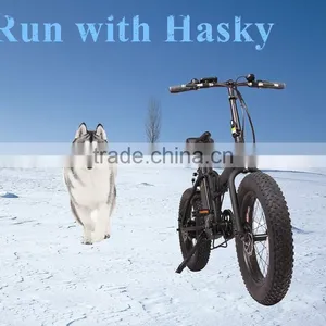 20 Inch OEM Fat Tyre Electric Fold Bike 250w With Suspension Front Fork thumbnail-3