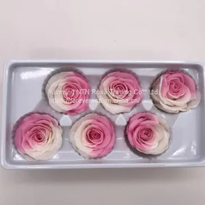 Preserved Rose Preserved Flowers Dried Flowers Birthday Valentine Party Wedding thumbnail-5