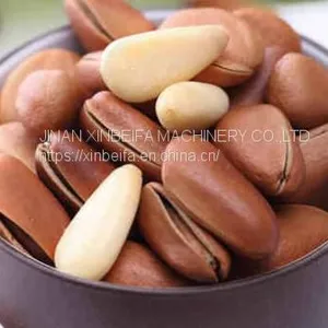 Pine Nut Kernel Drying Machine thumbnail-5