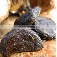 Black Garlic thumbnail-1
