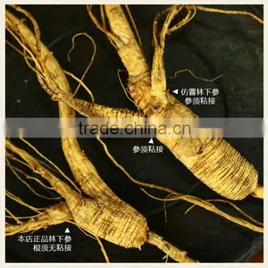 Old Wild Ginseng,18years Old,move From Wild High Mountain thumbnail-1