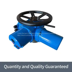 Bernard Multi-turn Electric Actuator DZW60 Thrust Type Valve Electric Device thumbnail-3