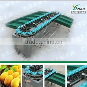 New Condition and Overseas After-sale Service Garlic Grading Machine thumbnail-5