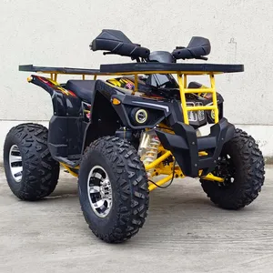 2024 150CC 200CC Automatic Quad Bike Motorcycle thumbnail-1