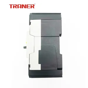 ELCB 2P TREF1-63 Earth Leakage Circuit Breaker ELCB 60947 2 Standard thumbnail-4