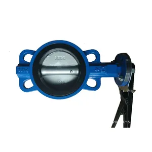 Made in China DN40~DN1000 DIN Butterfly Valve With Pin thumbnail-2