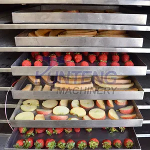 Efficient Industrial Durian Apple Slices Strawberries Okra Potatoes Milk Vacuum Freeze-drying Machine thumbnail-4