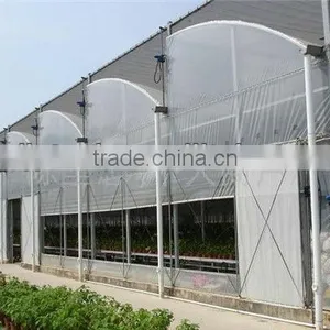 Vegetable Greenhouses for Sale thumbnail-2