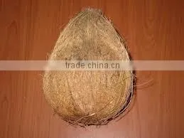 100% Natural Fresh Coconut Market Price thumbnail-1