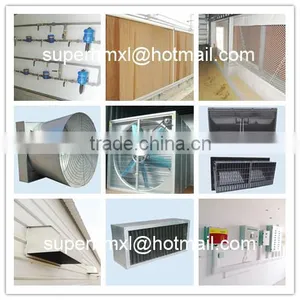 Automatic Poultry Farm Equipment for Chicken thumbnail-3