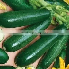 Pure Anti-virus Deep Green Hybrid Cucurbita Pepo Seeds thumbnail-1