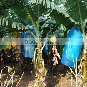UV Resistant Banana Tree Bag thumbnail-5
