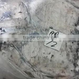 Frozen Cuttle Fish thumbnail-4