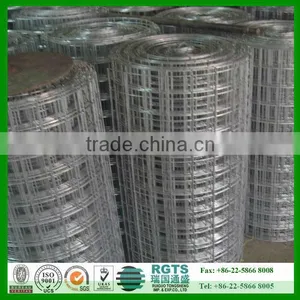 Galvanized Welded Wire Mesh for Fence thumbnail-1