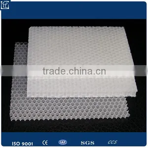 Polypropylene PP Plastic Honeycomb Sheet/ Board for Industy Packing thumbnail-6