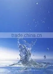 Plant Water Treatment System thumbnail-1