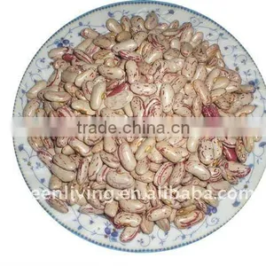 Wholesale Red Speckle Kidney Bean (from China) thumbnail-1
