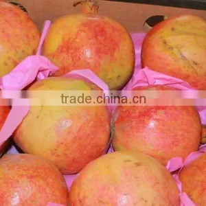 Packing / Color/Sizes/ Container of Fresh Pomegranates thumbnail-4