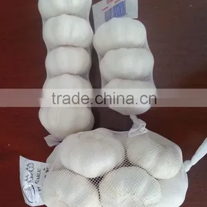 Chinese Garlic 2015 Crop thumbnail-2