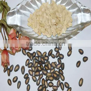 Melon Seeds thumbnail-1