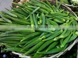 India Okra thumbnail-1