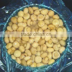Supply Wholesale Whole Champignon Mushroom in Drum thumbnail-1