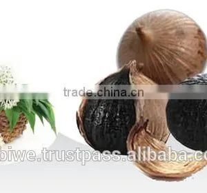 High Quality Single Clove Black Garlic Made in Vietnam thumbnail-4