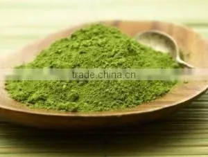 Vietnam Green Tea Powder/Vietnam Matcha Green Tea Powder thumbnail-1