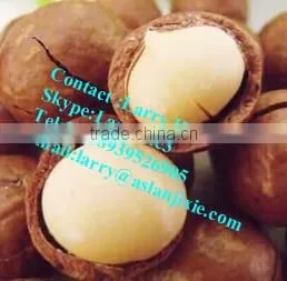 Kindal Cracking Machine/macadamia Nut Opening Machine/bauple Nut Cracking Machine thumbnail-6
