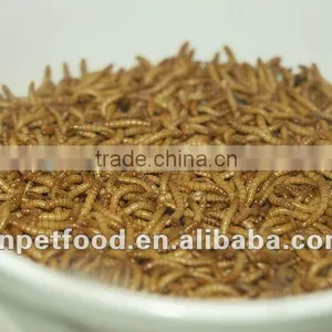 Dried Tenebrio Molitor Reptile Feeding thumbnail-1