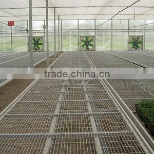 Greenhouse Seedbed thumbnail-1