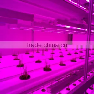 Greenhouse Fabrics thumbnail-2