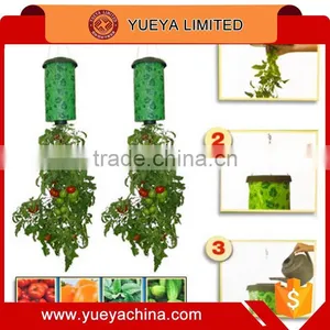 Tv Hot Sale Household Topsy-Turvy Plants Bonsai thumbnail-5