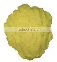 OULENO Small Garlic Ginger Garlic Mashed Garlic Machine Machine Cutter Small Household Cooking Machine Qiecai Mashed Garlic Saus thumbnail-5