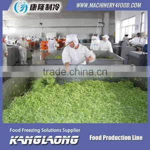 New Design Vegetable Dehydration Line thumbnail-1