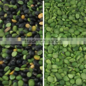 ZRWS Intelligent CCD Mung Bean Color Sorter Machine thumbnail-2
