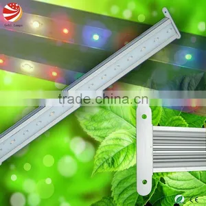 Nice Designed Waterproof Led Grow Light Strip Lettuce Grow Lighting thumbnail-1