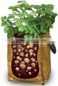 Hydroponics Super Strong Fabric 1-1200 Gallon Grow Bag/pot for Plant Growth thumbnail-2