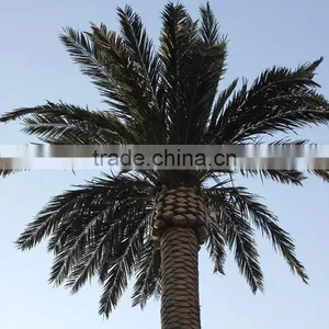 GNW APM012-4 Fake 5m High Artificial Palm Tree for Decorations thumbnail-2
